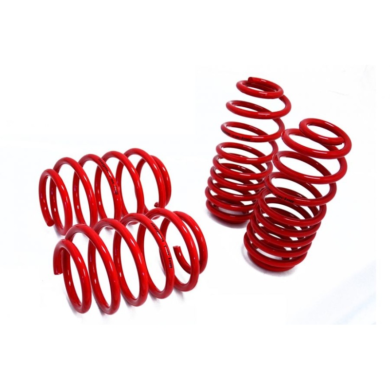 Megan Racing Lowering Springs – Euro-Version for Audi TT 08-14 – MR-LS-AT07