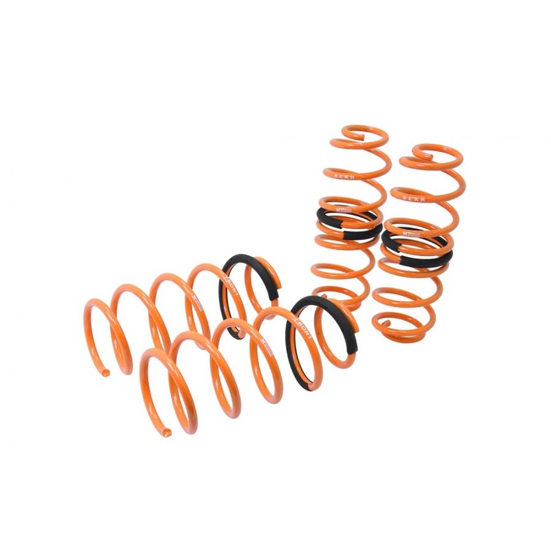 Megan Racing Ford Fiesta 11-16 (EXC ST Model) Lowering Springs – MR-LS-FFSA12