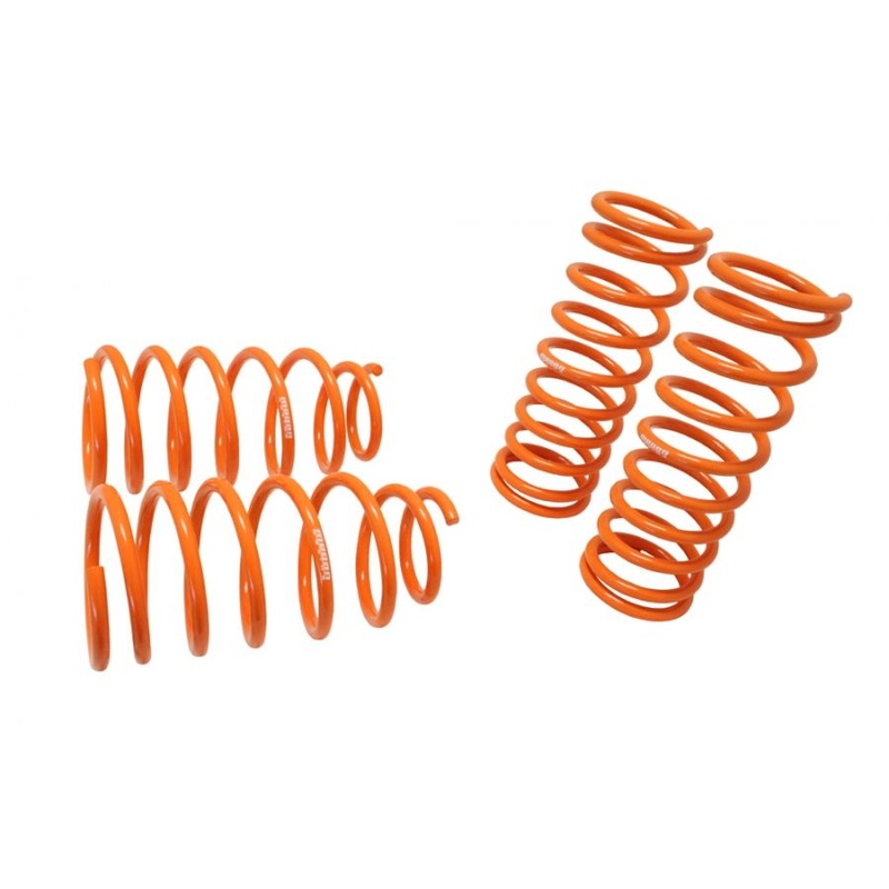 Megan Racing Lowering Springs for Kia Rio 00-05  – MR-LS-KR005