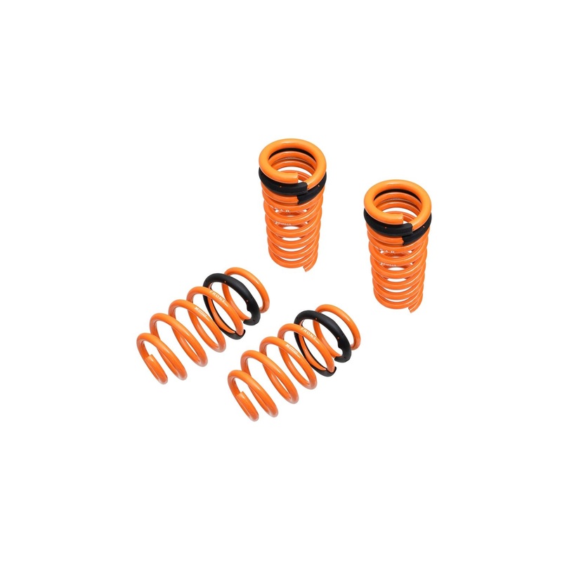 Megan Racing Dodge Challenger 2011-2016 V6 RWD V6 Lowering Springs – MR-LS-DC11