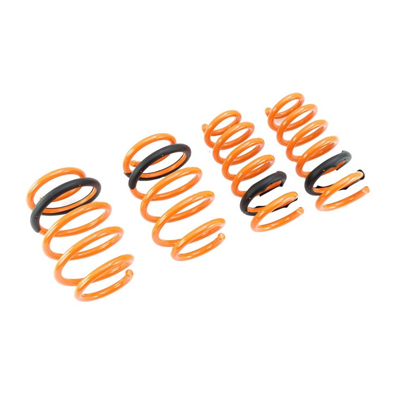 Megan Racing Ford Flex 09+ Lowering Springs – MR-LS-FFX09