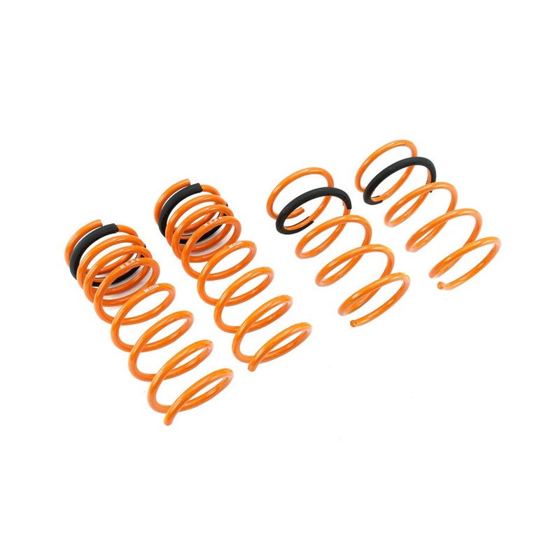 Megan Racing Nissan Altima 13-18 (4-Cylinder) Lowering Springs – MR-LS-NA13