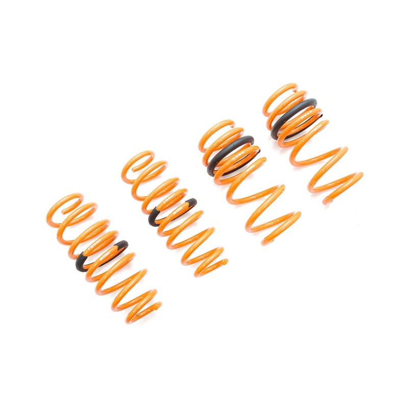 Megan Racing Tesla Model 3 AWD 17+ (EXC RWD) Lowering Springs – MR-LS-TSL317X